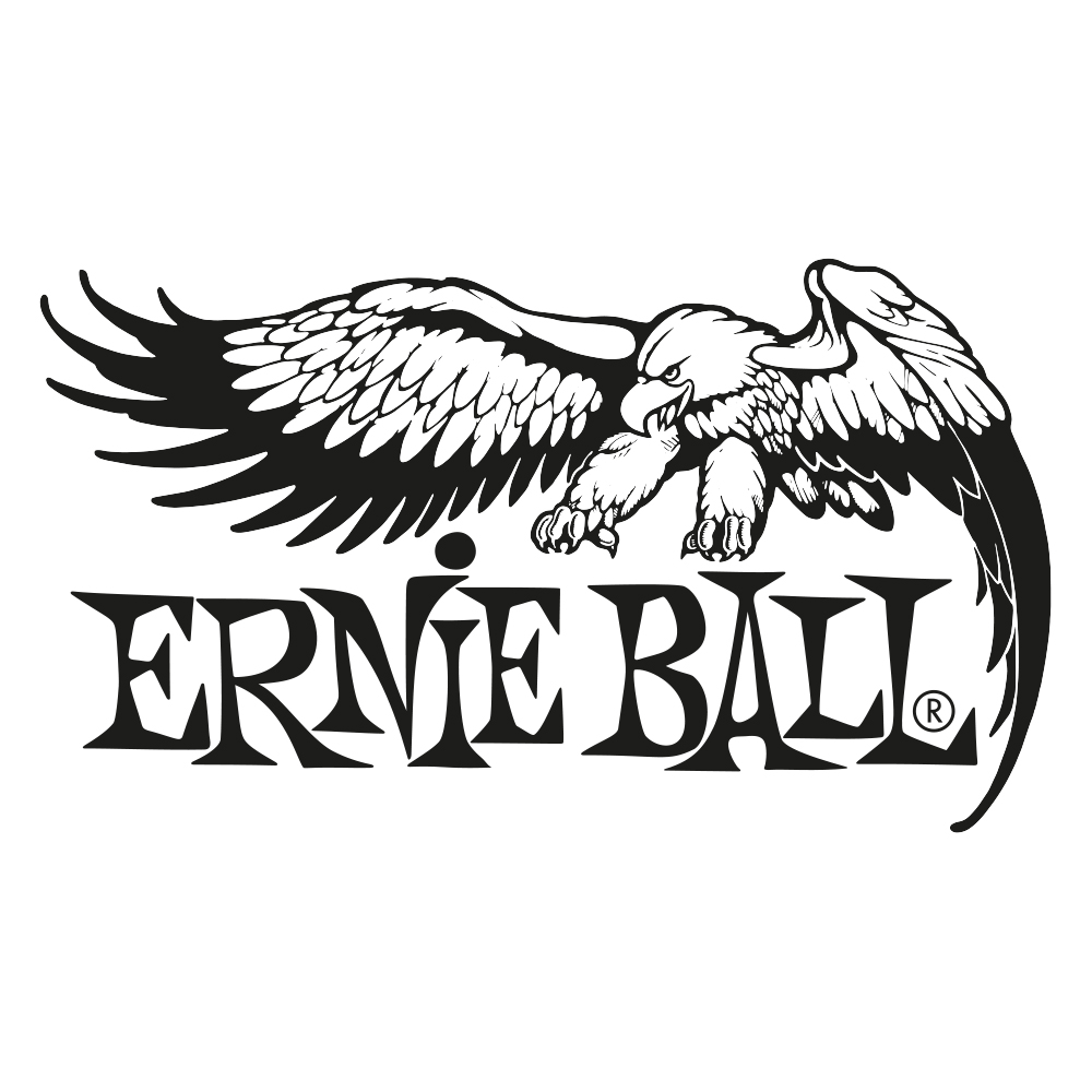 Ernie Ball Strings
