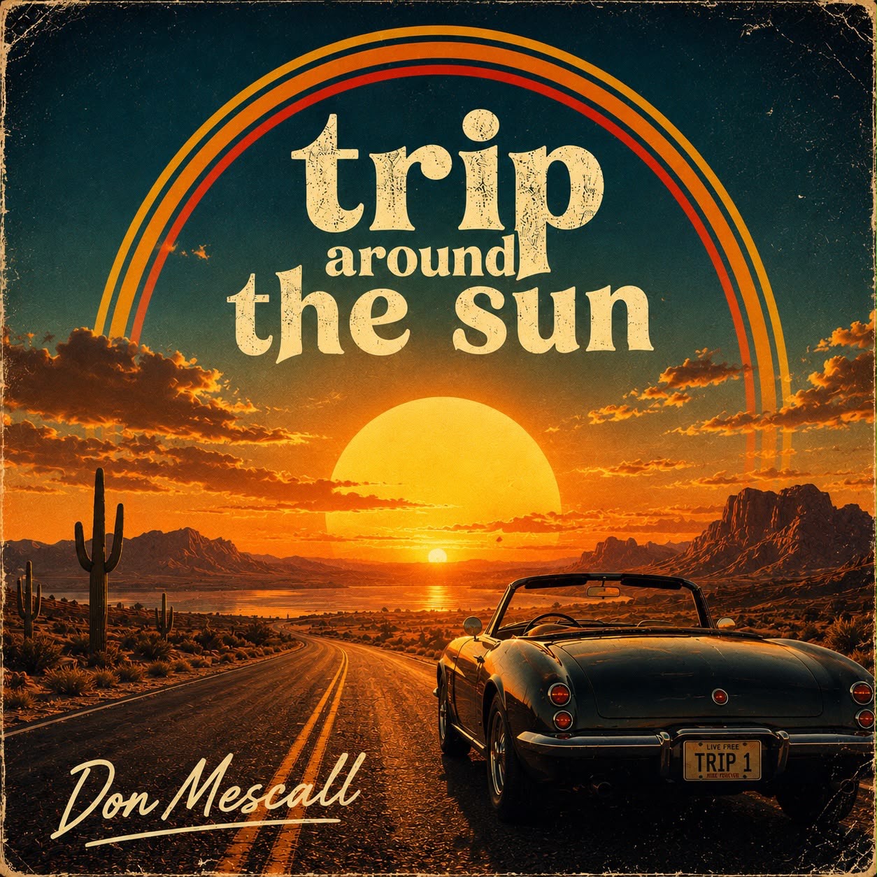 Trip Around The Sun